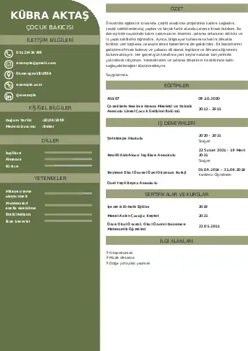 Çocuk Bakıcısı CV Örnekleri cv indir